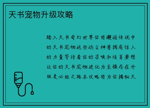 天书宠物升级攻略